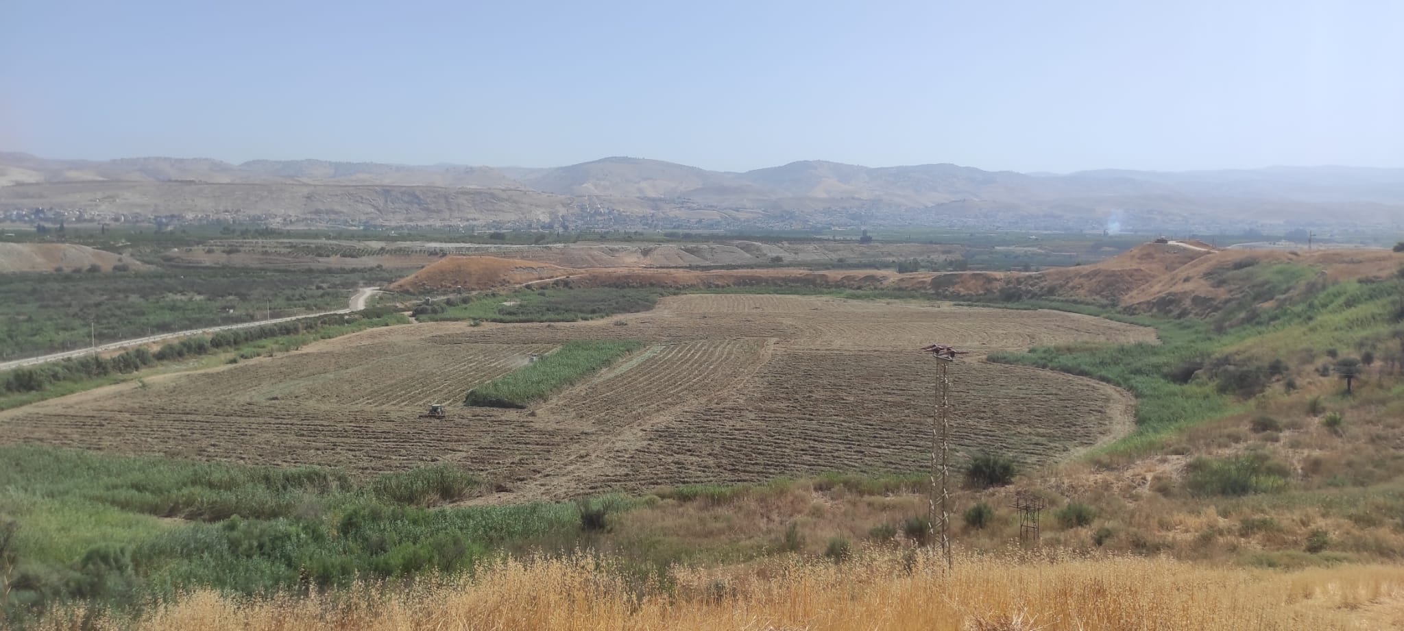 Agricultural harvest